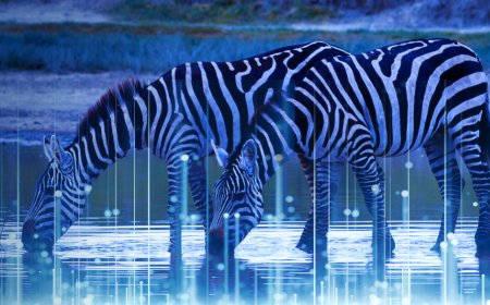 Watering Hole Attacks - Explained